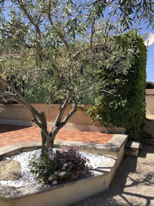 La Pitchoune : Gite Aux Pieds Des Alpilles Mouries Εξωτερικό φωτογραφία